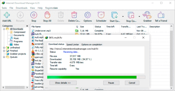 Internet Download Manager Crackeado 2024